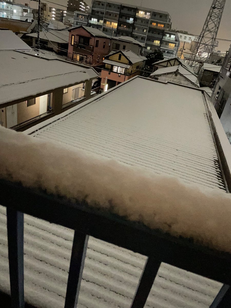 miruteterumi's tweet photo. 雪❄️積もってる❗️ https://t.co/yirIoOCqtK