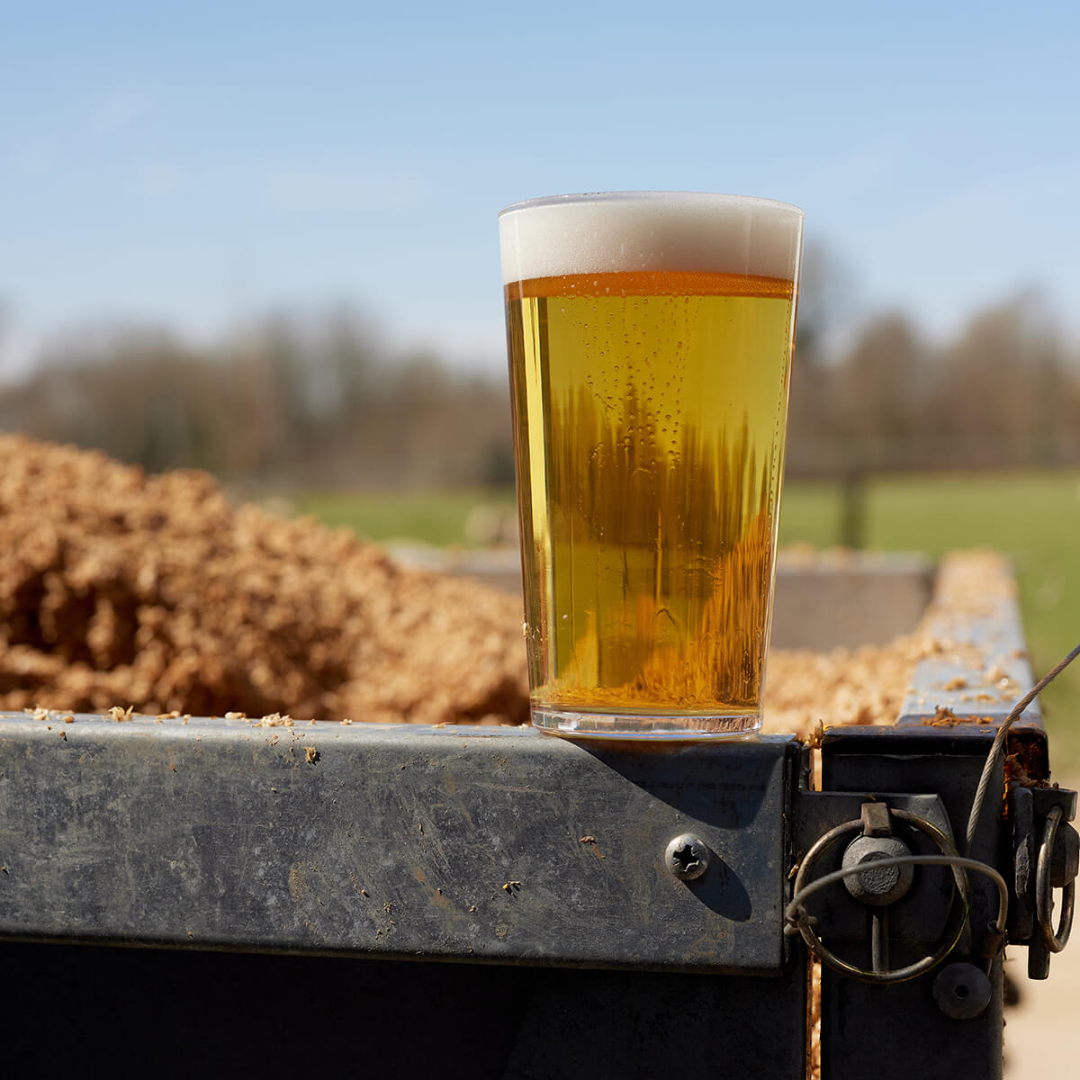 Ferment Magazine ❤️ 🇺🇦 tweet media