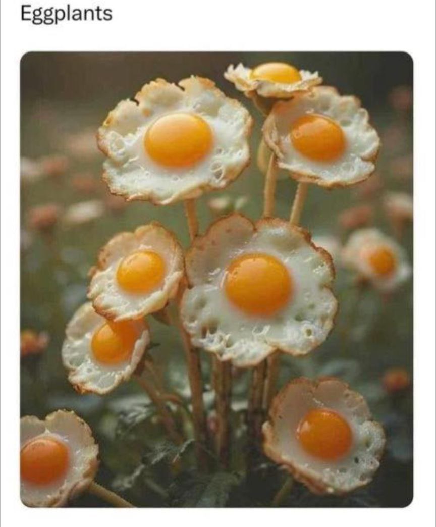 DaysofNoahGen6's tweet image. I didn’t know eggplants looked like this!?

😂 

#homesteadhumor