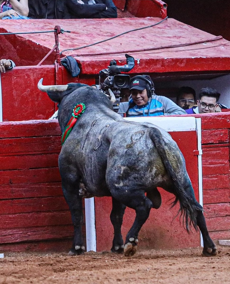 ChuyAToledo tweet picture