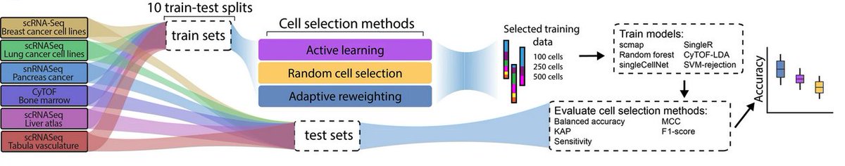 How can active and self-supervised learning methods improve the efficiency of human annotation of single-cell data?

Our paper exploring this (&amp; more!) is now out ➡️ nature.com/articles/s4146…