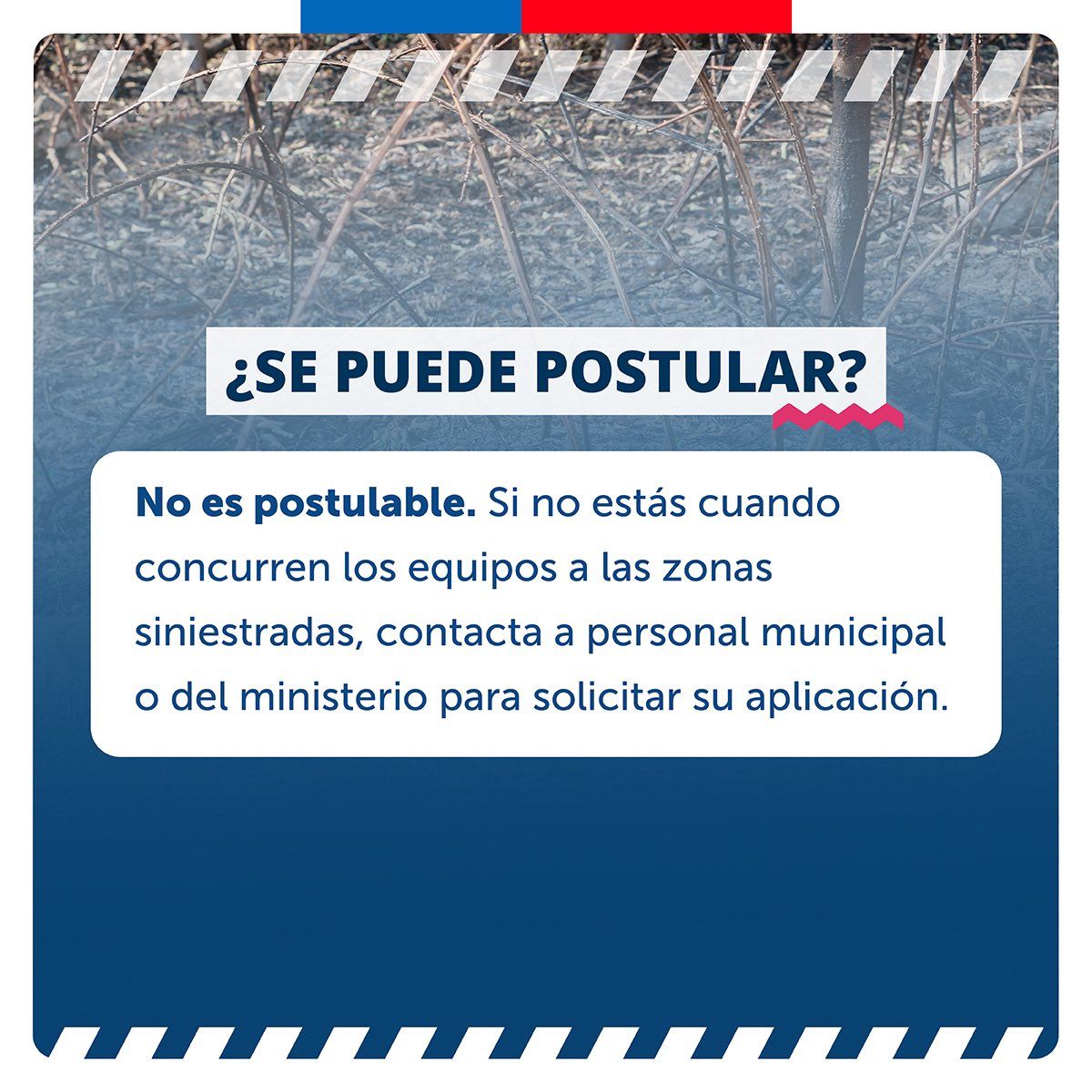 CAJmaule's tweet photo. La FIBE es el instrumento que nos ayuda a medir el nivel de afectación y principales necesidades producidas por la emergencia. En marco de los incendios forestales, se vuelve primordial su aplicación. 
🤳🏼 Conoce más sobre ella aquí y en ➡️ https://t.co/yB6PJ911af https://t.co/gW0r6QtC4z
