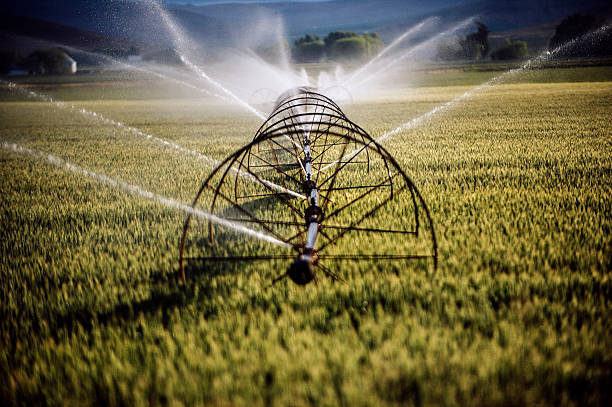 IrrigationAz tweet picture