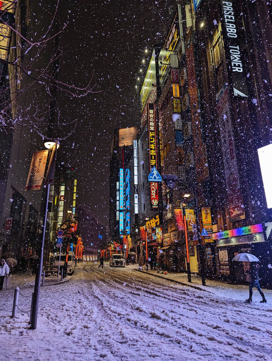 Trappsteg's tweet photo. #Snowkyo https://t.co/UabOwedfhl