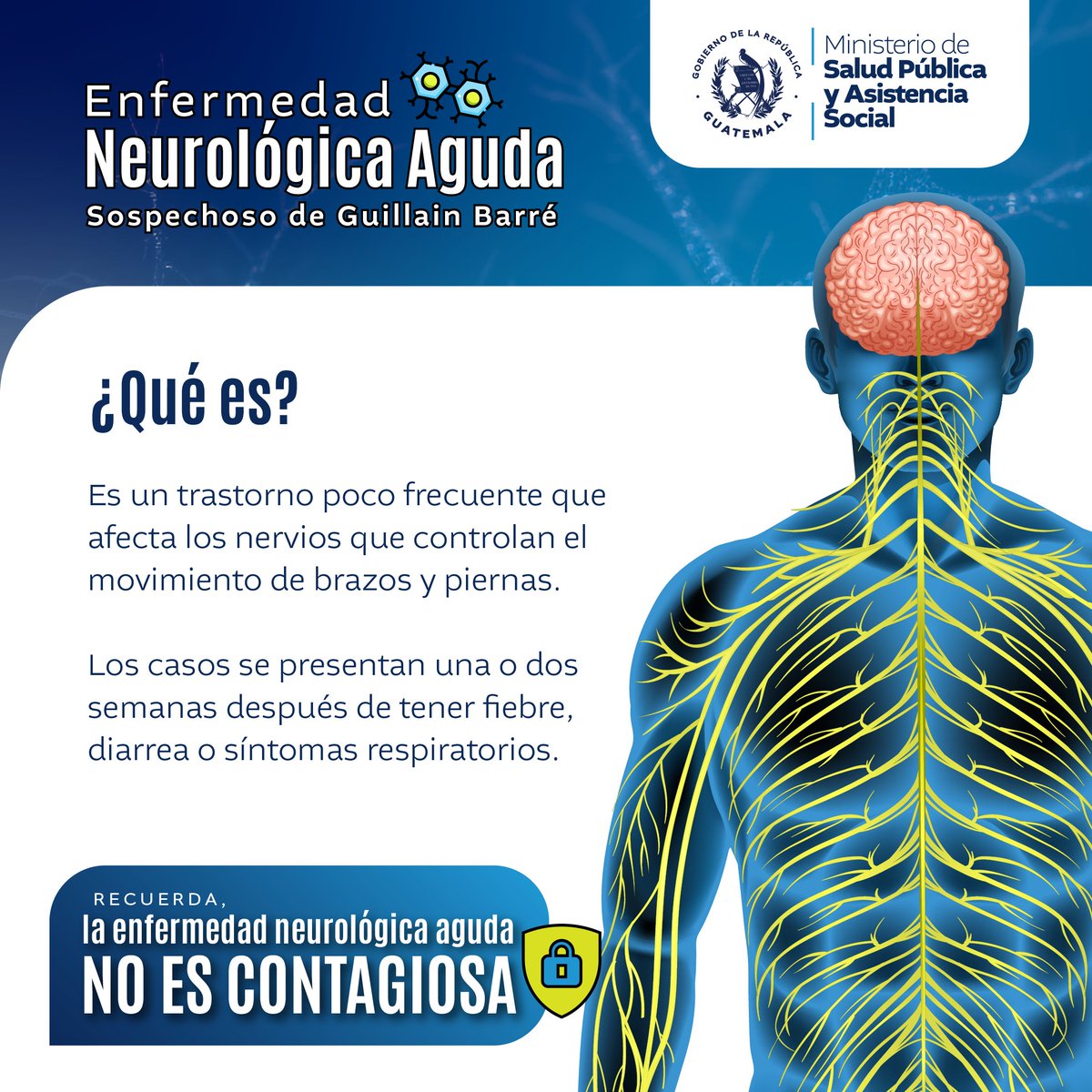 MinSaludGuate's tweet photo. 🚨 ¡Importante! 🚨
La enfermedad neurológica aguda sospechoso de Guillain Barré, no es contagiosa de persona a persona. Mantengamos la serenidad y sigamos las indicaciones del Ministerio de Salud #MSPAS para un cuidado comunitario efectivo. 🤲💙 👇 https://t.co/I8Nx3eqjWw