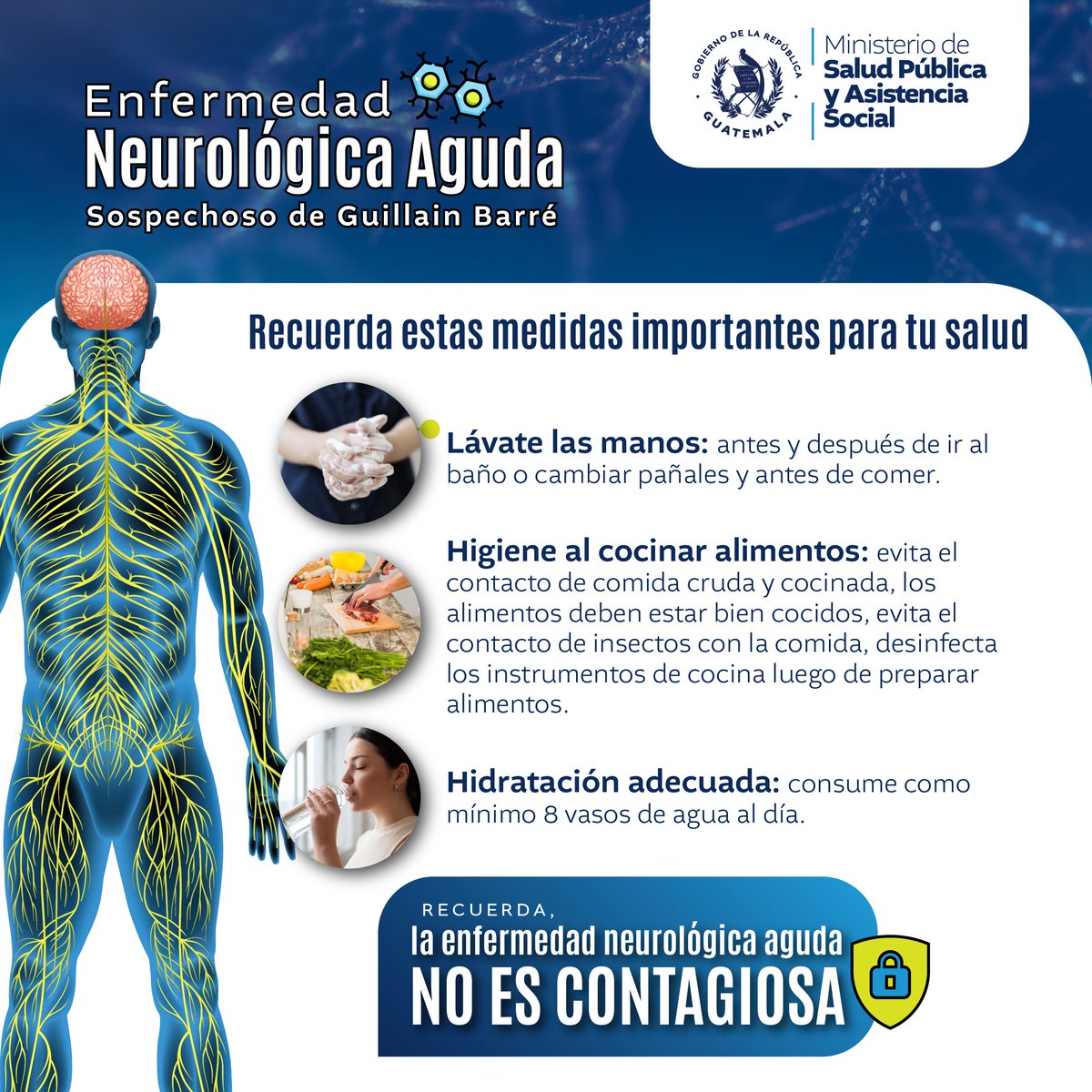 MinSaludGuate's tweet photo. 🚨 ¡Importante! 🚨
La enfermedad neurológica aguda sospechoso de Guillain Barré, no es contagiosa de persona a persona. Mantengamos la serenidad y sigamos las indicaciones del Ministerio de Salud #MSPAS para un cuidado comunitario efectivo. 🤲💙 👇 https://t.co/I8Nx3eqjWw