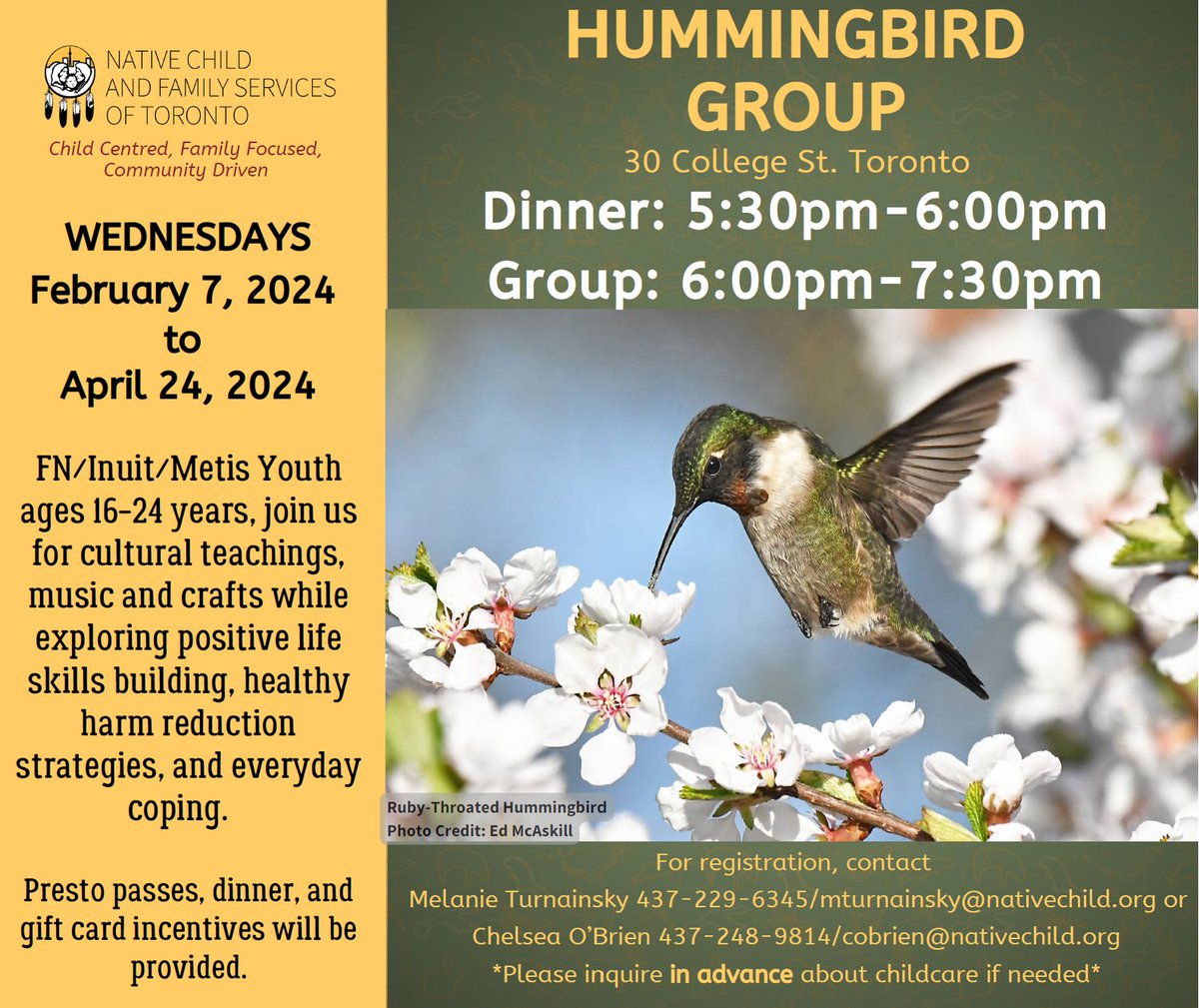 NCFST's tweet photo. Join us starting this Wednesday for cultural teachings, music and crafts - all the while learning about, and building, healthy coping skills. We look forward to seeing you!
#NCFST #NativeChildandFamilyServices https://t.co/YLdGJSP1ag