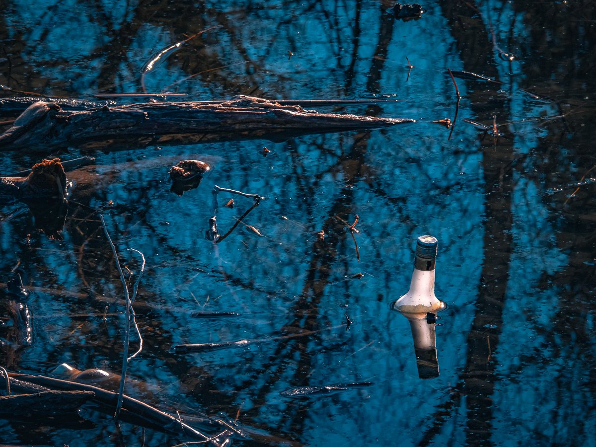 parole lasciate alla deriva nel crepuscolo e ritrovate da qualcuno a caso, questo siamo. 
ma basta questo, per essere qualcosa. 
[Parco del Ticino]