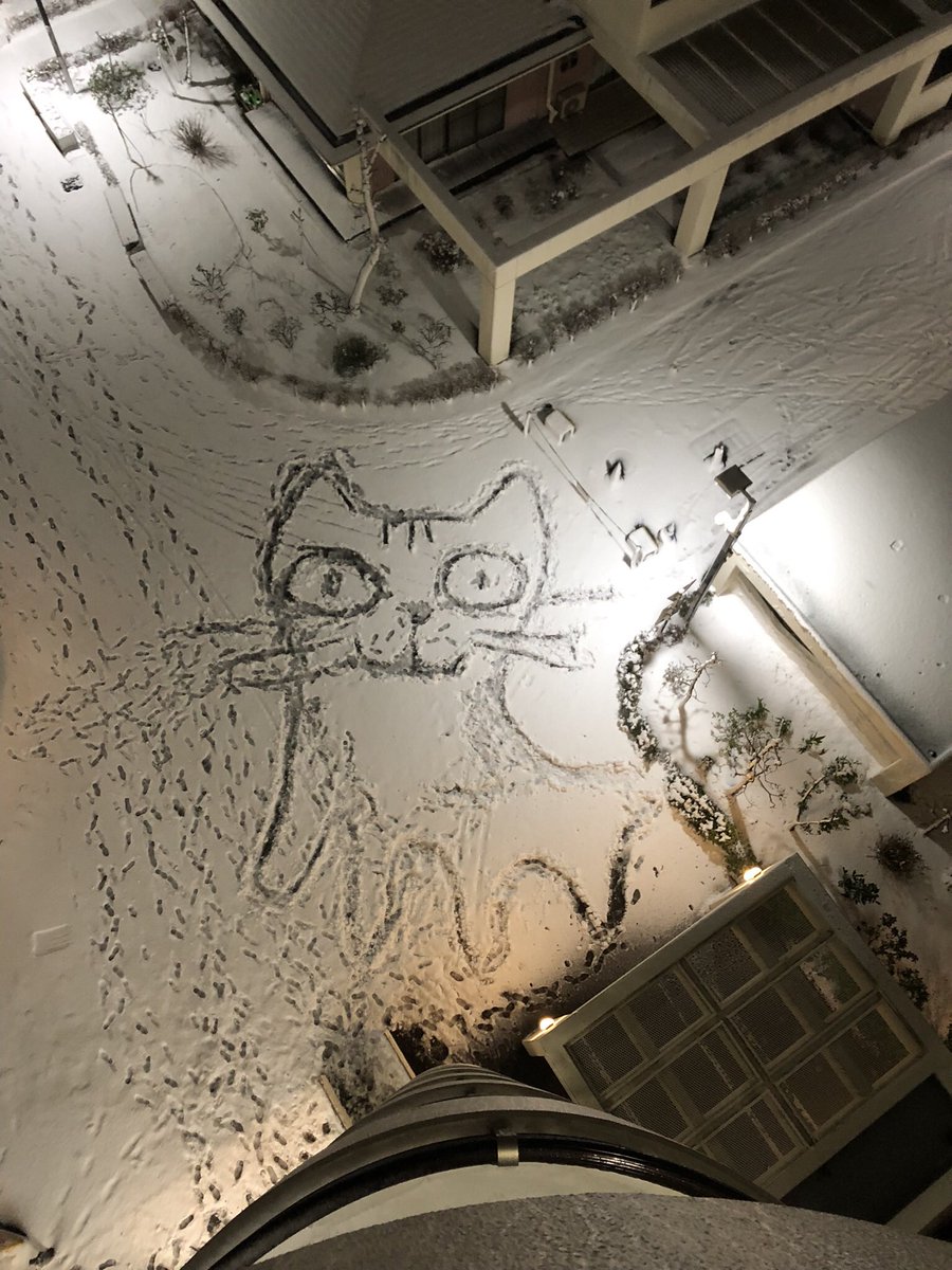 Ito164osaruraru's tweet photo. 雪の夜の落書き「猫さん」 https://t.co/Wd9bHnFi4E