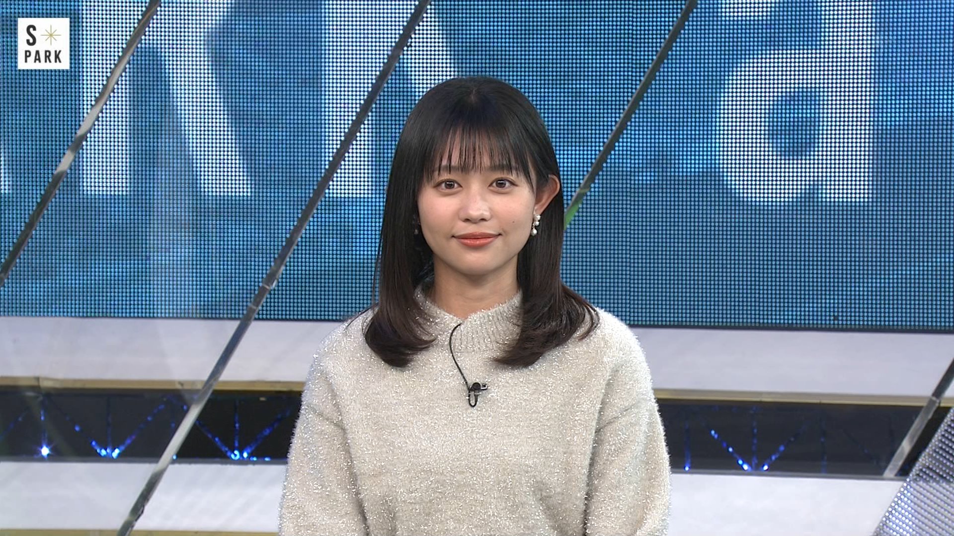 フジテレビアナウンサー ダイカットステッカー トレーディング