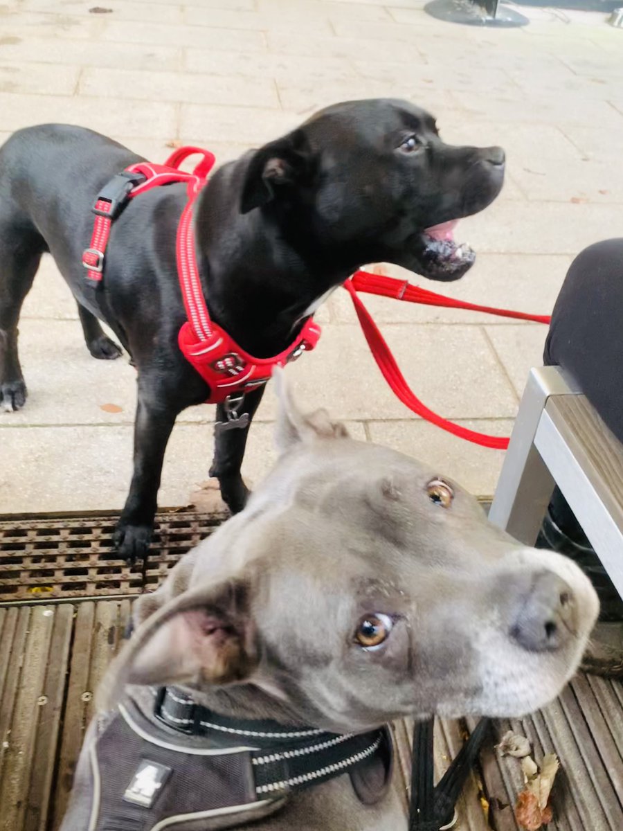 Isa Mary tweet media