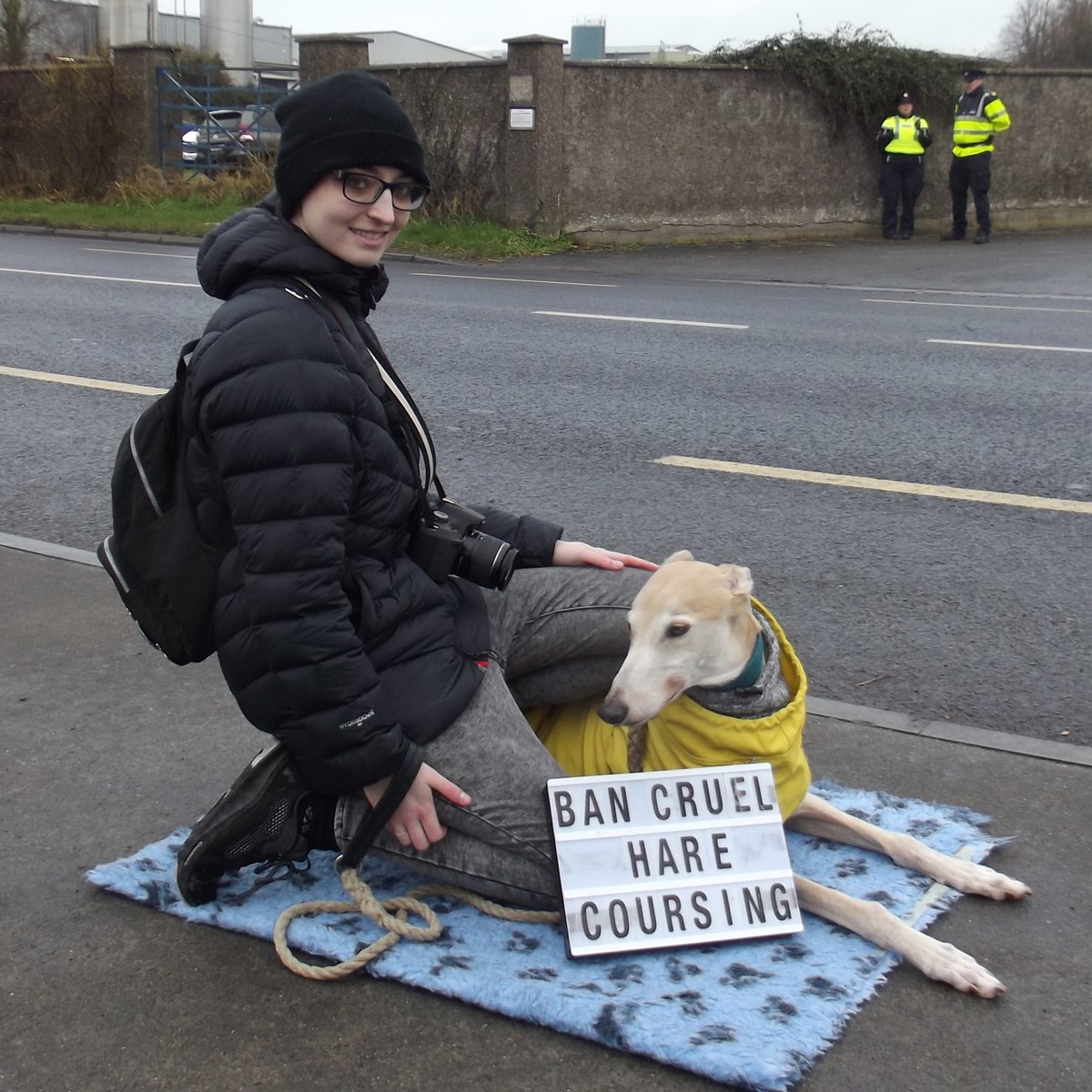 Ban Blood Sports tweet media