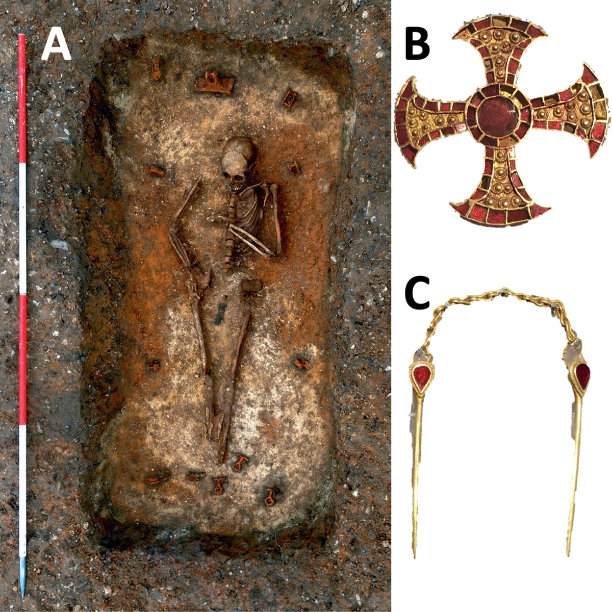 📣 New article alert! doi.org/10.15184/aqy.2… V. proud of this! 'Women of the Conversion Period' - what's going on w female mobility in 7thC AD? @AntiquityJ Incl. #isotopes #GIS #rstats & #bedburials Stay tuned for more from this project w H. Hamerow 👀#earlymedieval🧵👇