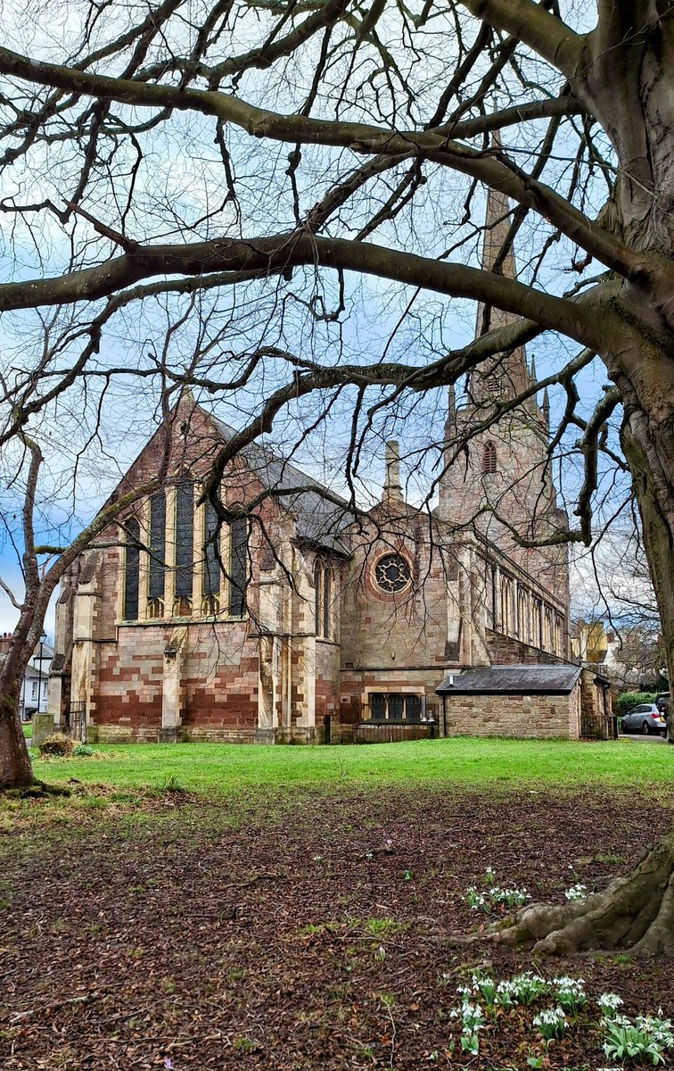 SSianyd64's tweet photo. Monmouth with Spring  Snow drops . https://t.co/0cHjYNUxGJ