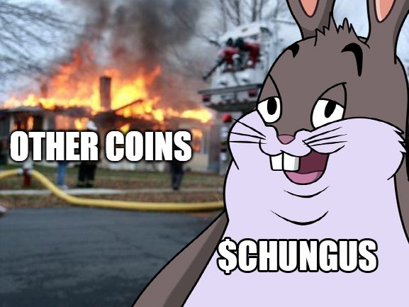 BigChungusToken's tweet image. 