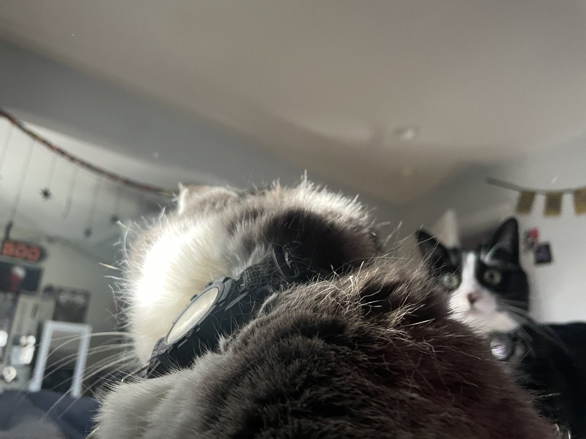 pov we are chillin then He arrives