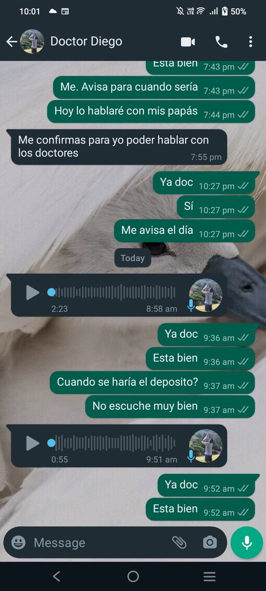 Daniela Liñan 🌸 tweet media