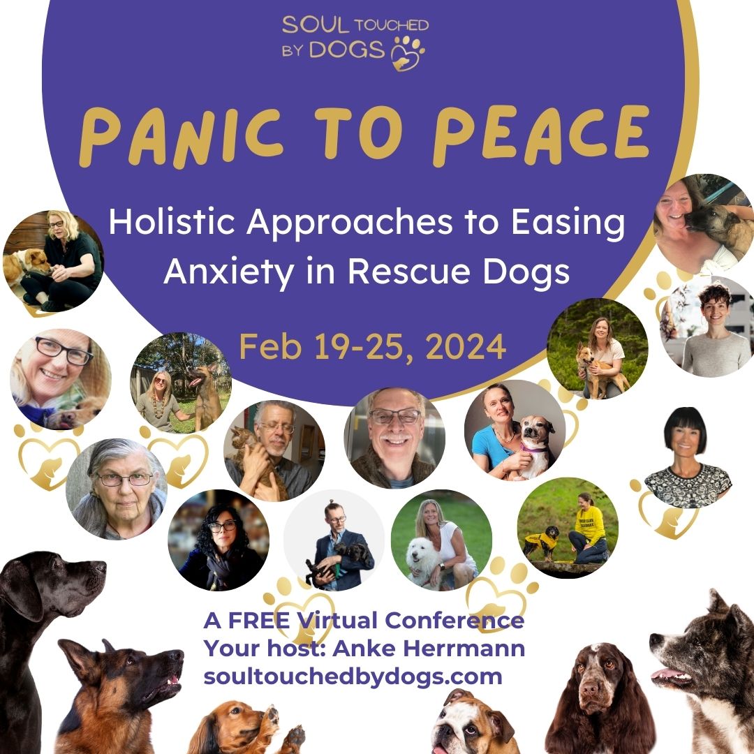 Anke Herrmann tweet media