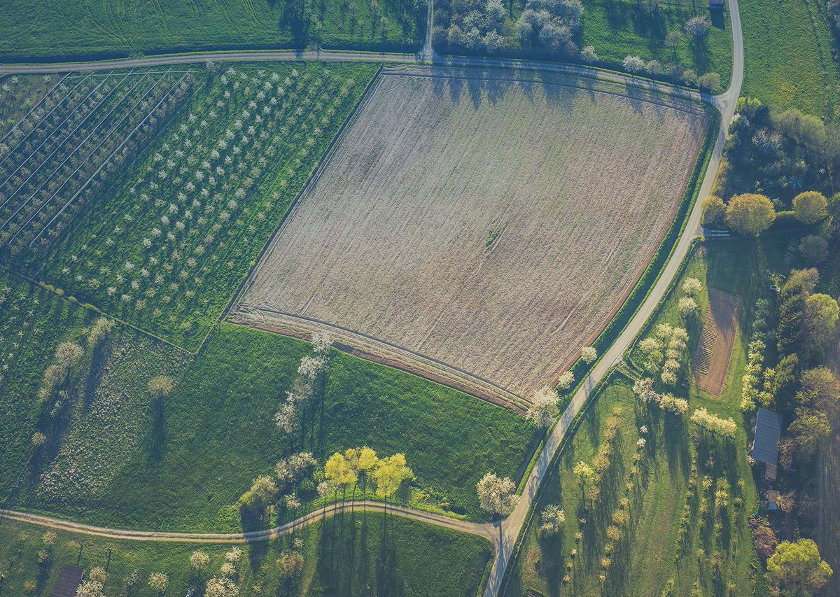 gd4s_eu's tweet photo. Exciting times ahead! 🌍Tomorrow, the @EU_Commission  unveils its new climate target for 2040,  building on the European Climate Act of 2021 , further confirming 🇪🇺's climate ambitions, giving our members greater visibility to #decarbonize their network thanks to #biomethane🌳🌍 https://t.co/d3qw4DyVii