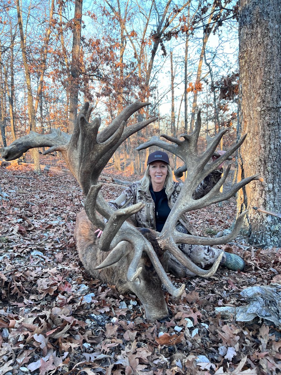 The stag hunts for the 2024 season filling up fast, don't miss your chance to chase these giants in the Missouri Ozarks!

#oakcreekexperience #huntofalifetime #oakcreekgiants #livingourbestlife #redstaghunting #redstag