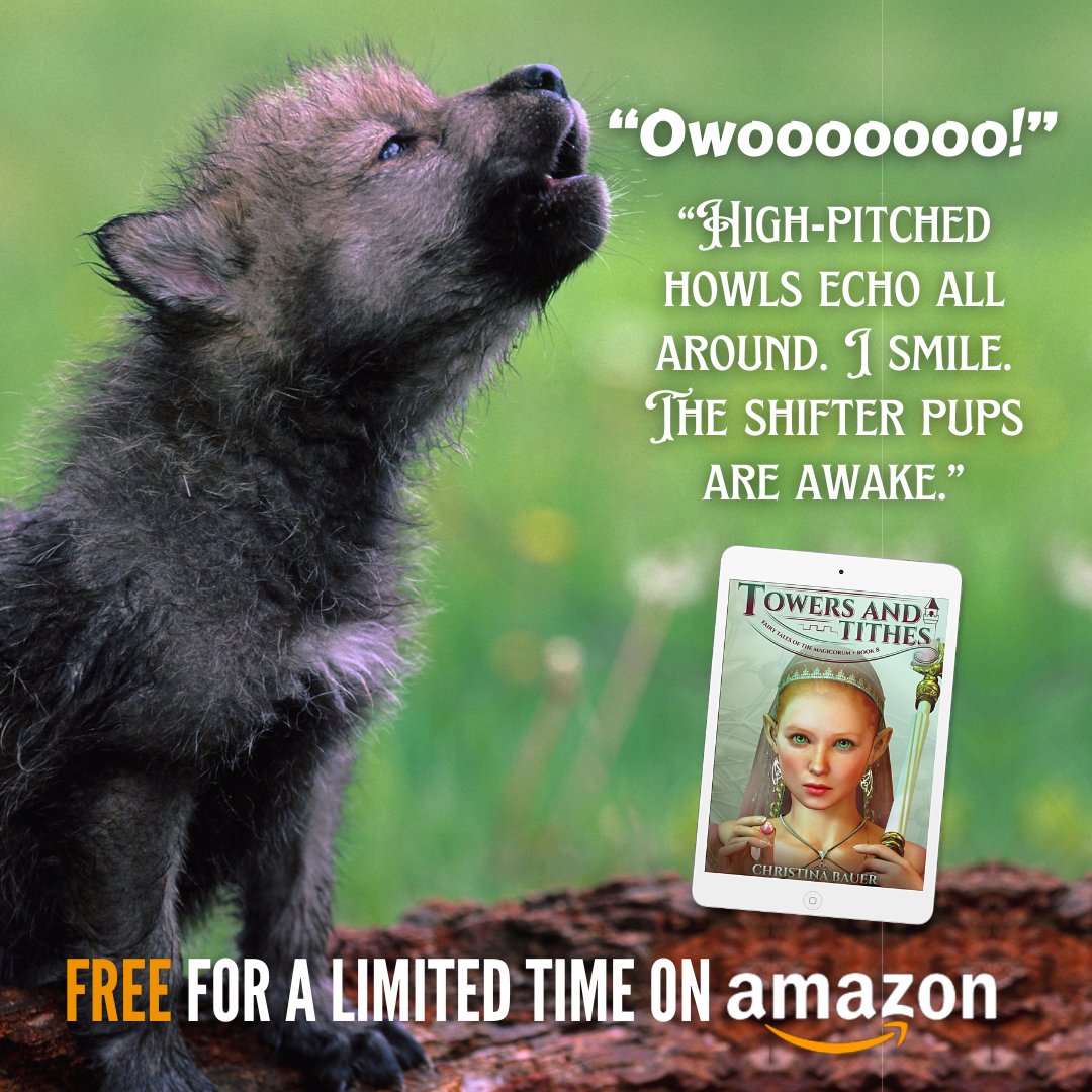 Christina Bauer tweet media