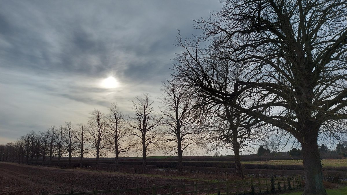 Looks as if a storm is brewing  - not the best of days to go out for a walk.