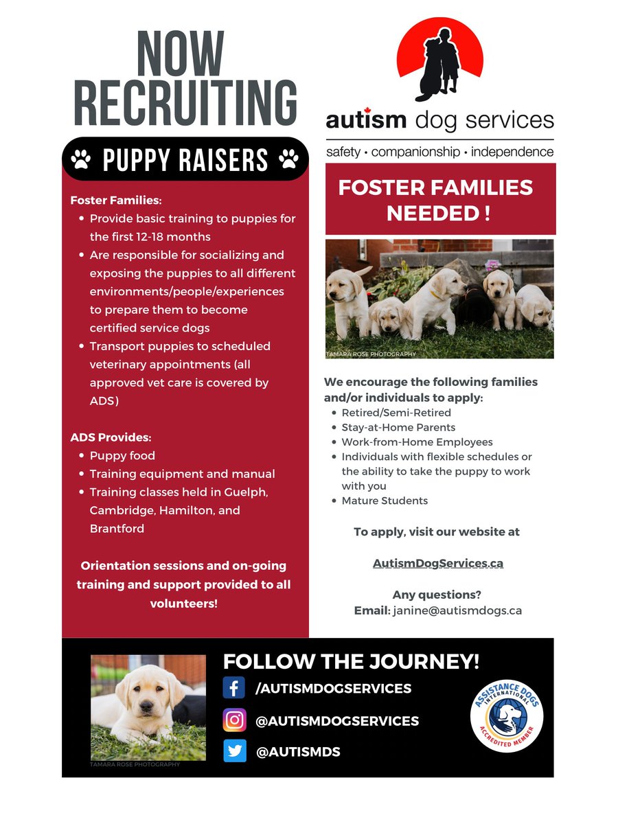 Vicky Spadoni tweet media