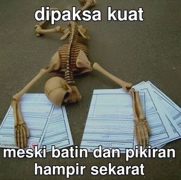lagi di fase kacau kacaunya 🙇🏻‍♀️