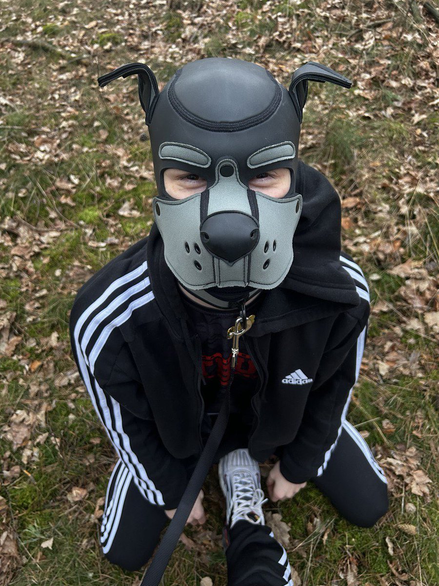 Grzeczny psiak został wyprowadzony na spacer woof woof 🐶🌲 @pupchillux