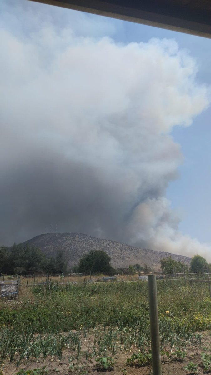 #Placilla       

Emergencia: Apoyo a cuerpo de bomberos Papudo 
Fecha: 05/02/2024
Hora: 15:30 aprox. 
Sector: Ruta E-244 km 4. Camino a Las Salinas. 
Recursos: Bomberos. 
Preliminar: Incendio forestal y/o basura. 

Información final:

EQUIPO EMURG PROVINCIA DE PETORCA.