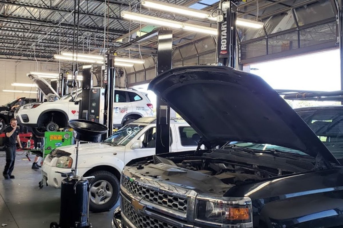 BlackDogSolGrp's tweet image. Recently we were able to assist a local #Millard Business, Equipment Unlimited, Inc with #newcomputers for their facility. If you are in need of auto equipment or services, check them out! 

autoshopequip.com

#itomaha #techsupportomaha #blackdogitomaha