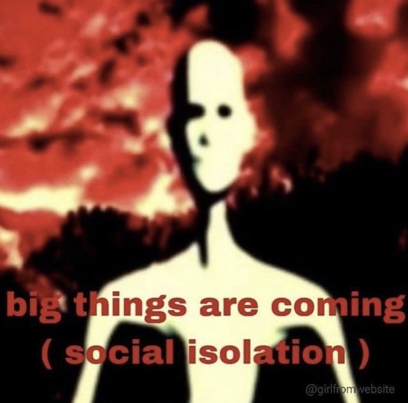 ✧ tweet media