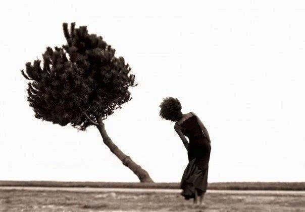 byni412's tweet photo. لا تزرع الورد عند أُناسٍ لا تشم 🍂 https://t.co/IJRebijRaY