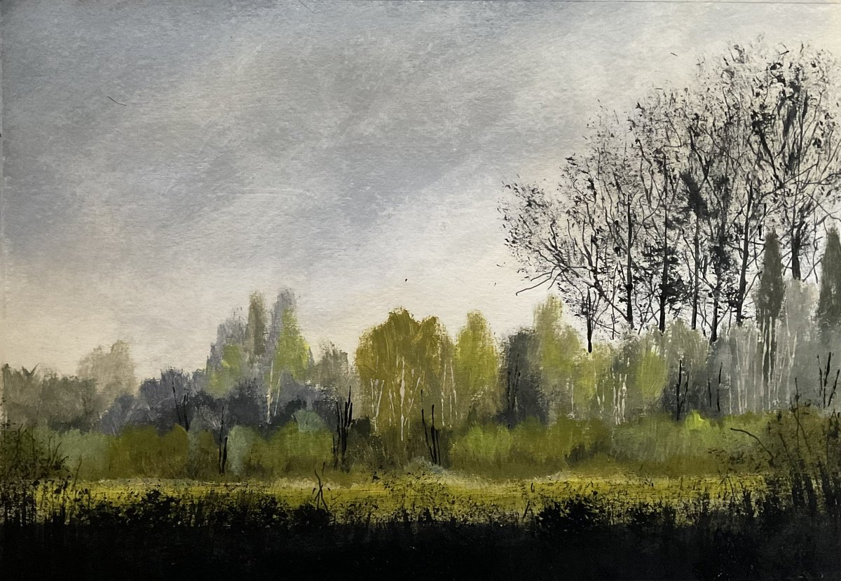 A gentle dawn in the field behind the house.
Acrylic on paper.
#Lincolnshire #TheFens