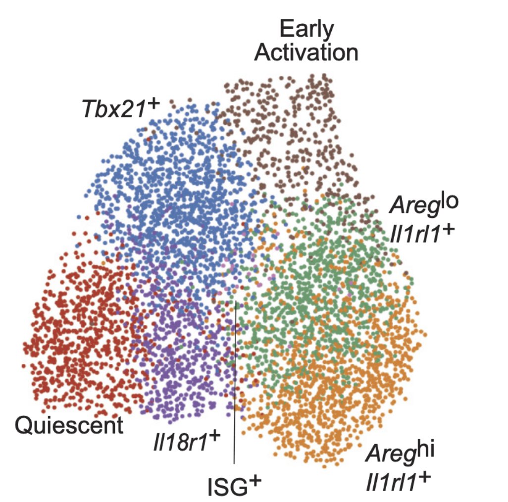 Excited to share that our story on adipose-tissue Tregs is now published! We used a combination of single-cell, experimental, and computational tools to dissect the evolving heterogeneity of adipose-tissue Tregs with aging and obesity. #Tregs @PNASNews pnas.org/doi/10.1073/pn…