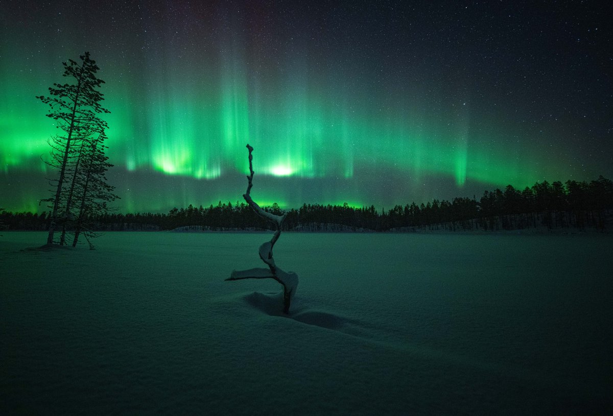 🤩Wat een waanzinnige foto van het noorderlicht!💥 De kleuren spatten van het scherm af en de mooie foto is mooi helder en scherp.✨
Gefeliciteerd PeterTulner met deze Foto van de Dag!🏆

Bekijk meer mooie foto's op: zoom.nl/profiel/petert…