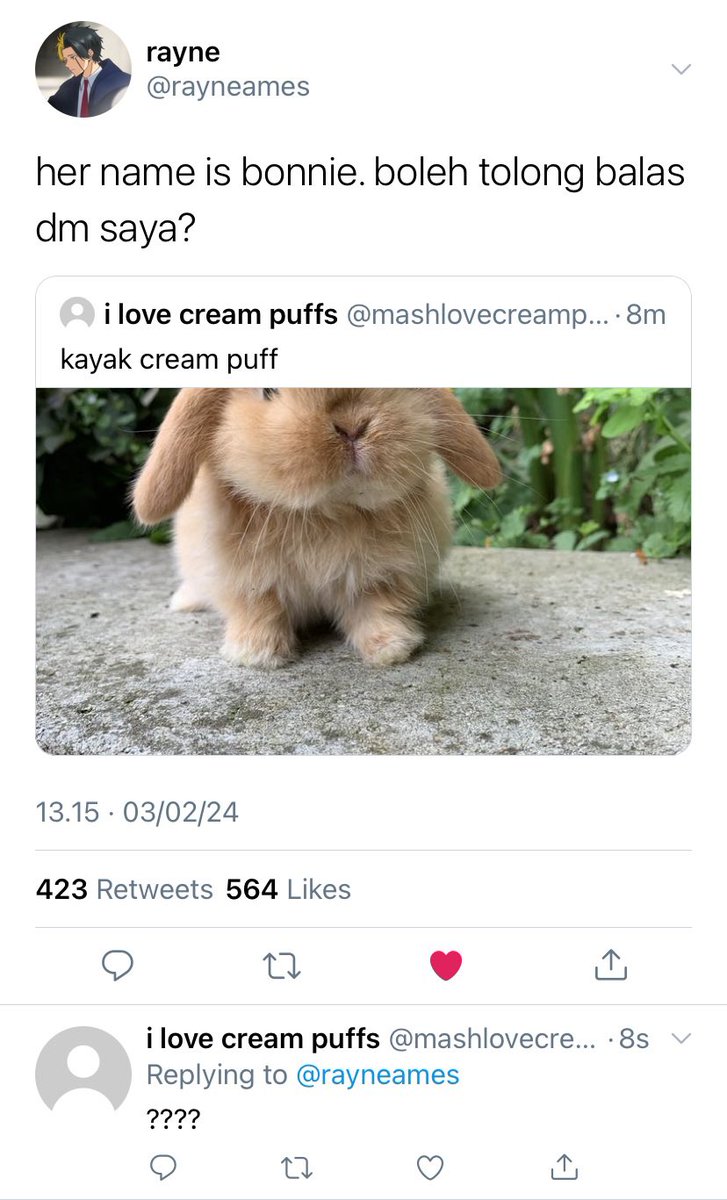 syla tweet media