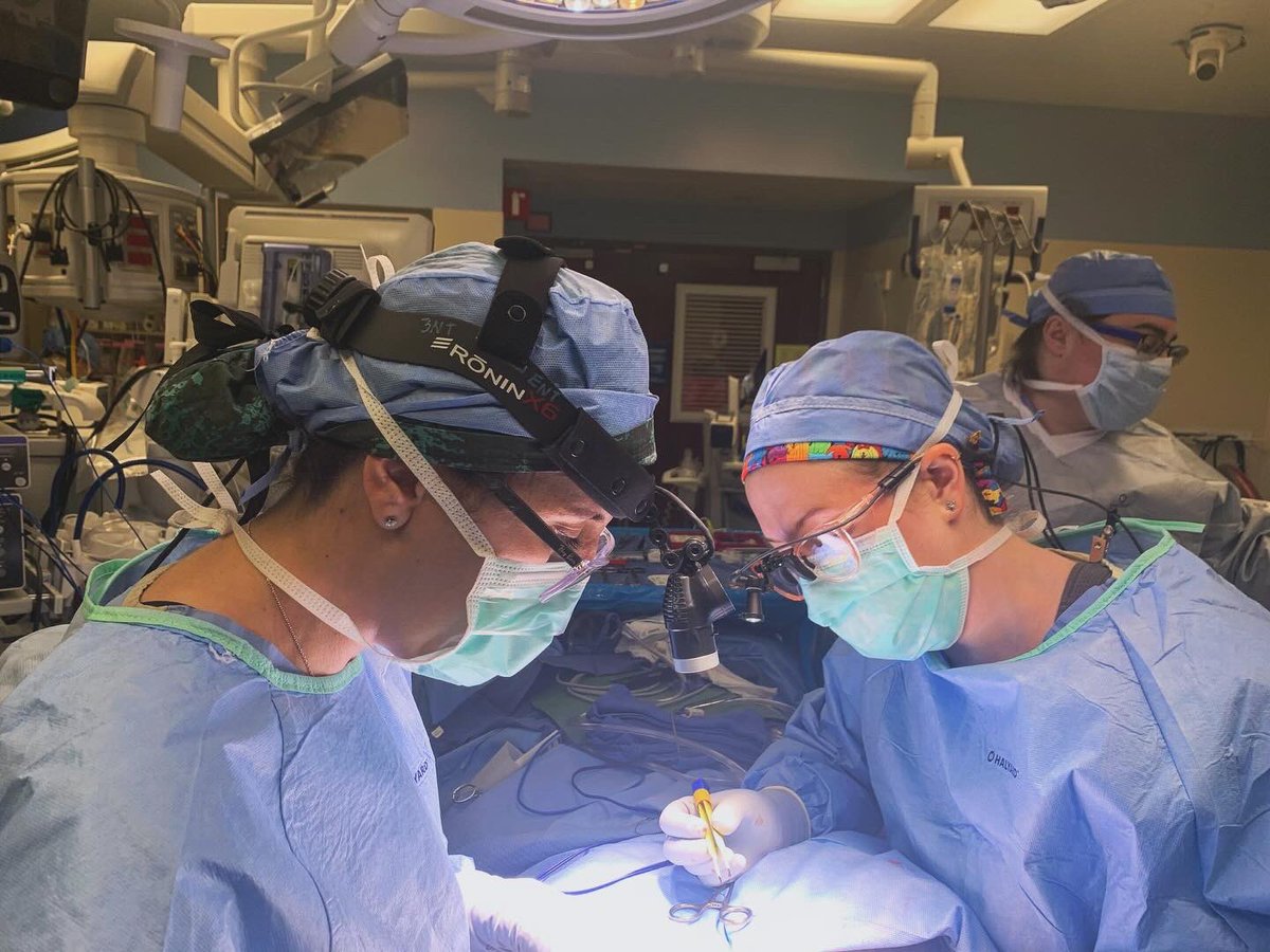 Drs Wiedermann and Bayan recently did a joint complex airway reconstruction case in order to offer their expertise and provide the best possible result. 
#airwaysurgery #airwayreconstruction #oto #otoresidency #ent #entresidency #otomatch2024