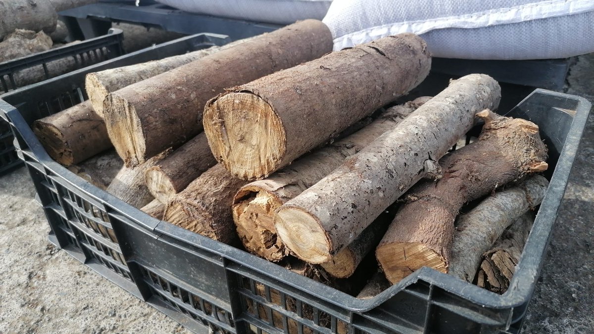 Compost para abonar tu jardín🌻🌸🌼🌺 o leña para organizar tu próxima barbacoa 🪵🔥🥓🥩

☎ 922 43 06 79