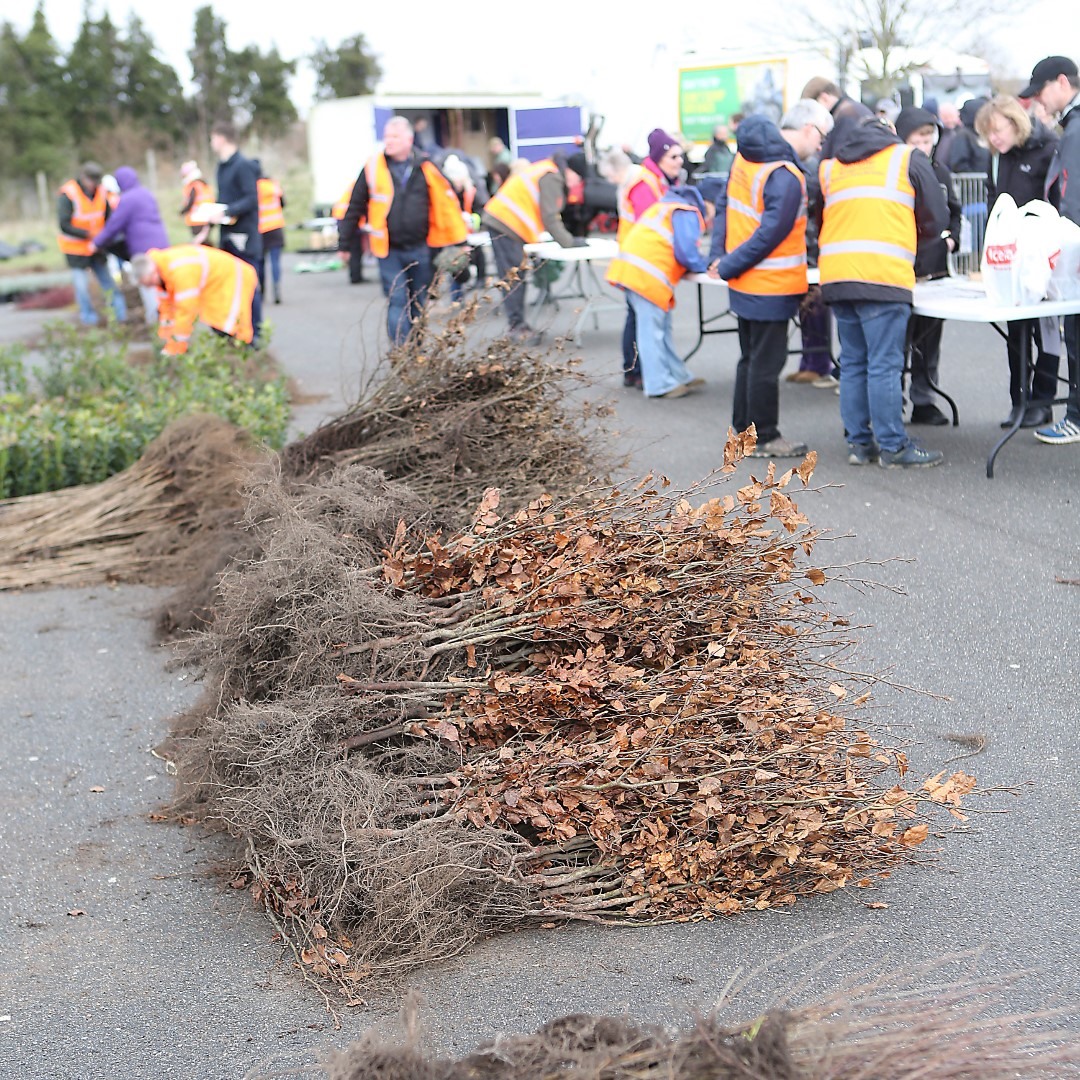 Colchester City Council tweet media