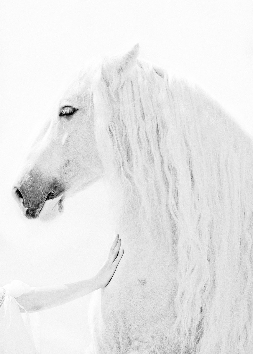 zzabegin's tweet image. DROP YOUR WALLET AND RT.

I’ll choose one from comments to receive next postcard and have a chance to win this piece at the end of the year.

2 will be raffled among “Acquaintance” owners and 1 among owners of the &quot;postcards&quot;. 

Now only 1 of 7 is available for 0.33E.

Links 👇