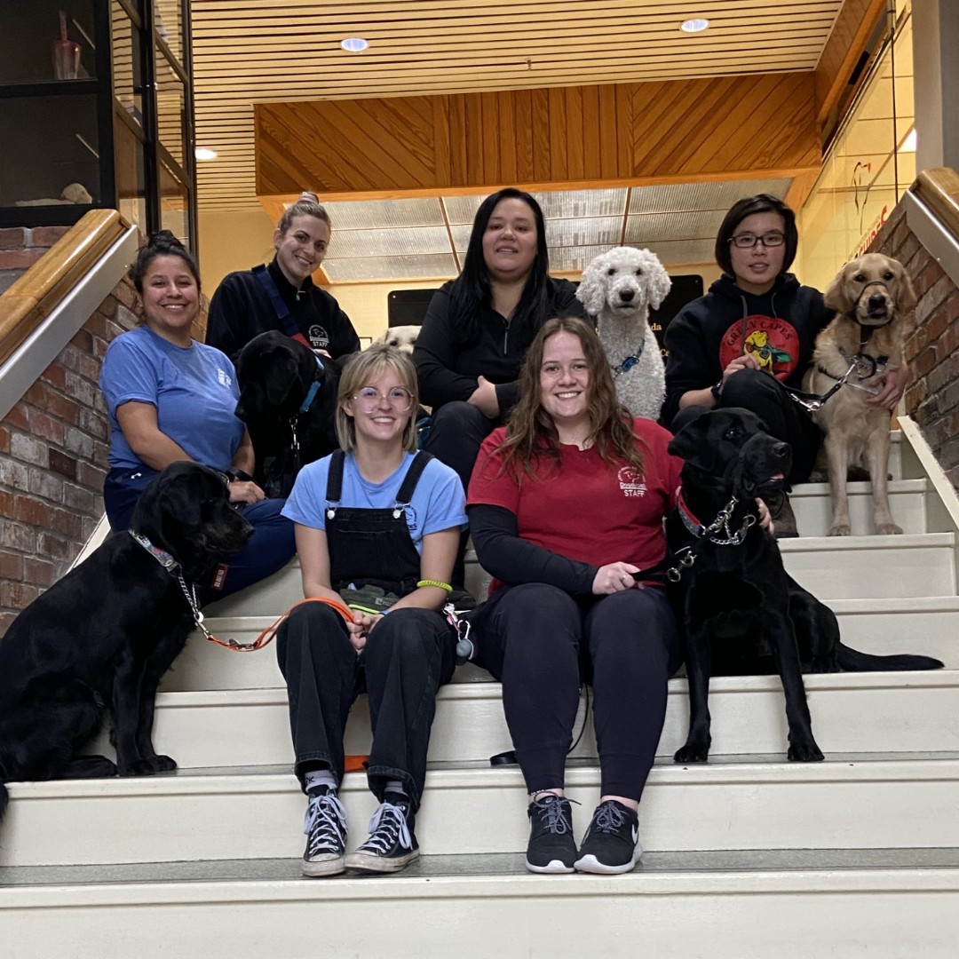 LFC Dog Guides tweet media