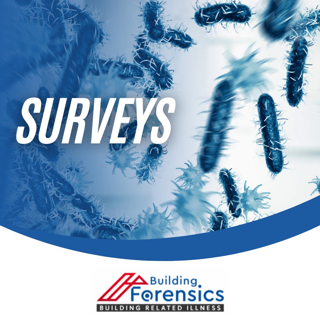 BuildingForens's tweet photo. We specialise in supporting those suffering from health issues; you can read about typical symptoms on our website.

https://t.co/N2URdiIhTN

#Mould #Environmental #Illness #Home #HomeSafety #Biological #Toxins https://t.co/4LTaOtLdr1