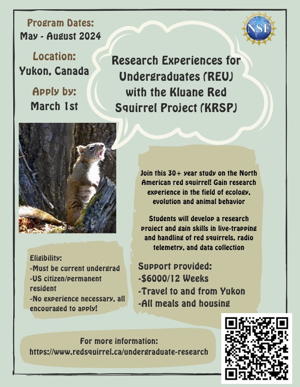 We are looking for undergraduate students to participate in our REU program in Summer 2024. 

More info at redsquirrel.ca/undergraduate-…

Please RT