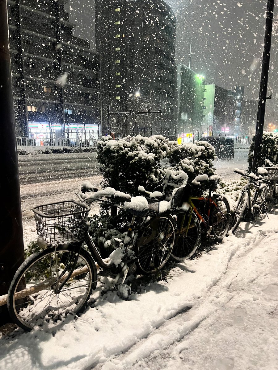 helexal's tweet photo. The first snow of 2024 in Tokyo❄️
初雪 https://t.co/9zYQGk0G39