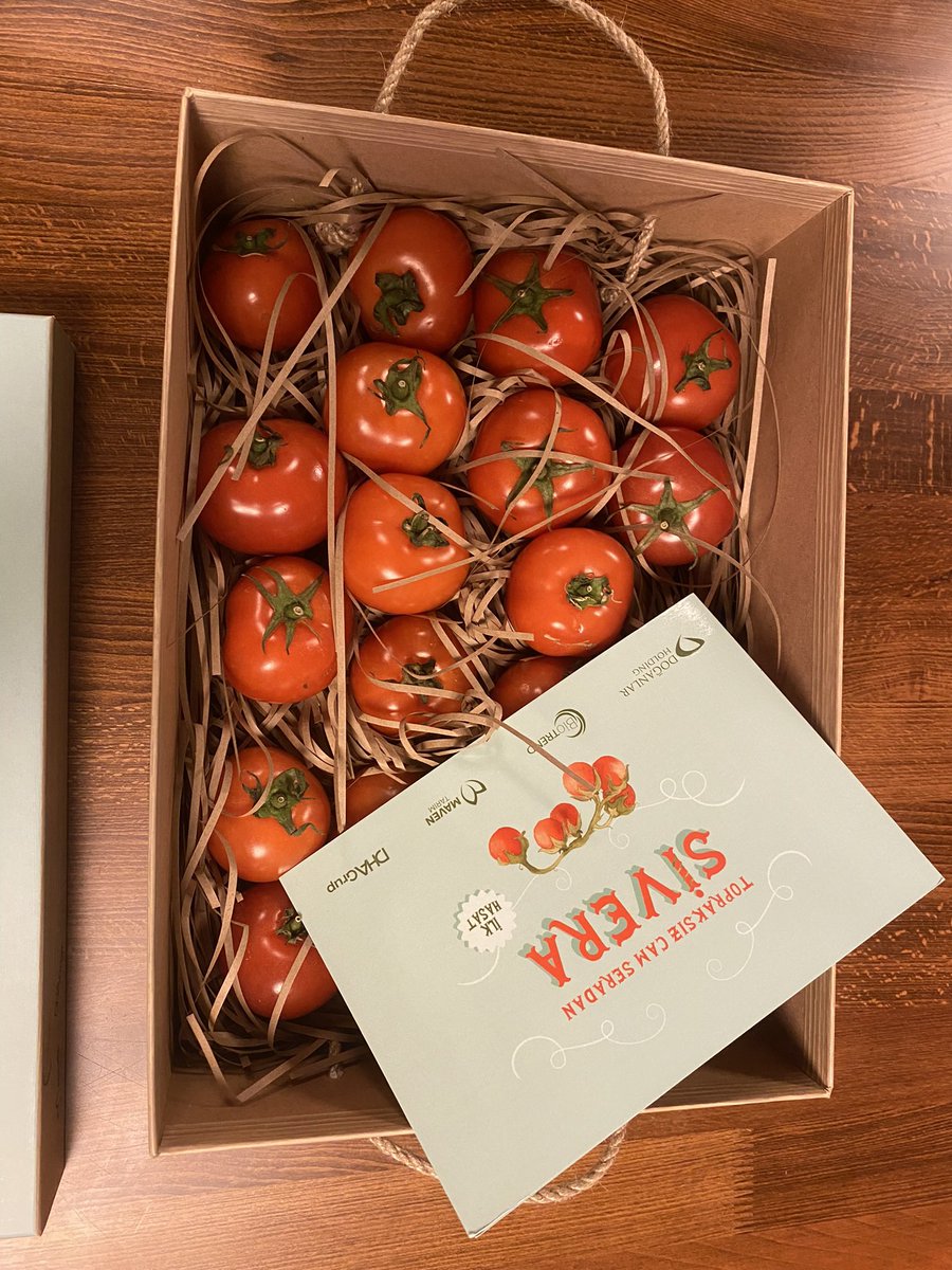 BiotrendA's tweet image. #SİVERA domateslerimizin ilk hasadını aldık!
#iyitarım #camsera #topraksıztarım