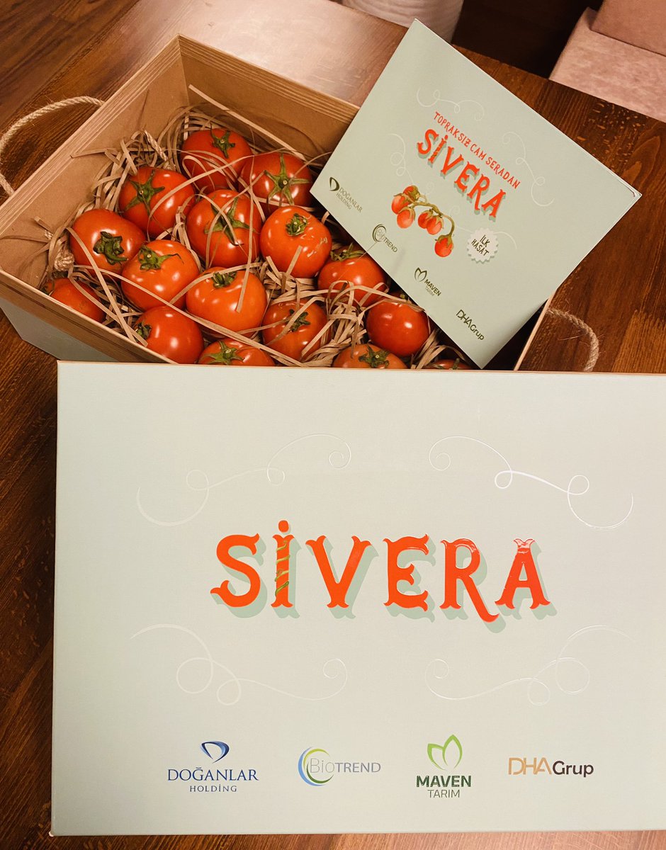 BiotrendA's tweet image. #SİVERA domateslerimizin ilk hasadını aldık!
#iyitarım #camsera #topraksıztarım