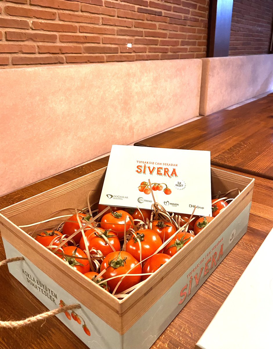 BiotrendA's tweet image. #SİVERA domateslerimizin ilk hasadını aldık!
#iyitarım #camsera #topraksıztarım