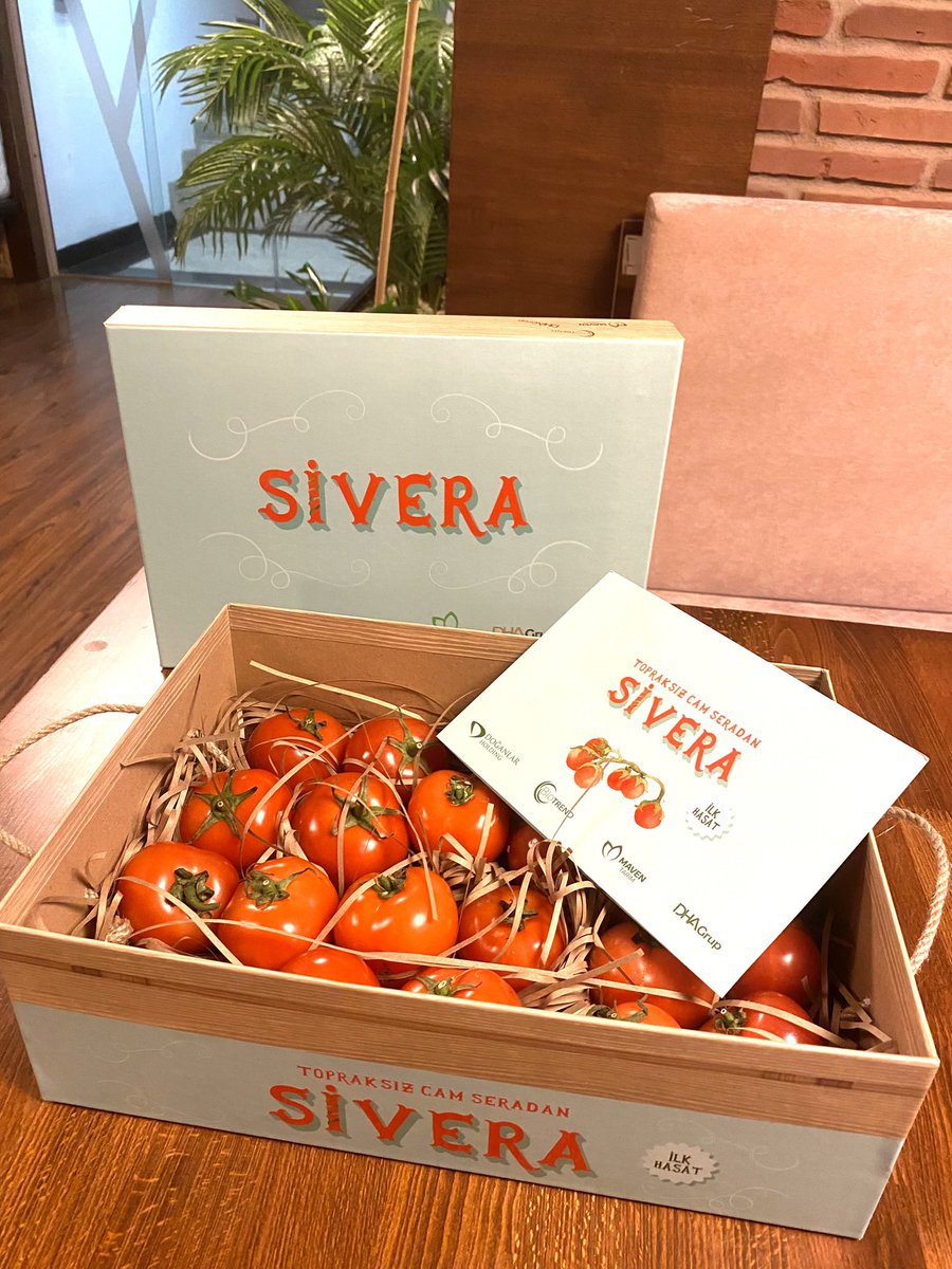 BiotrendA's tweet image. #SİVERA domateslerimizin ilk hasadını aldık!
#iyitarım #camsera #topraksıztarım