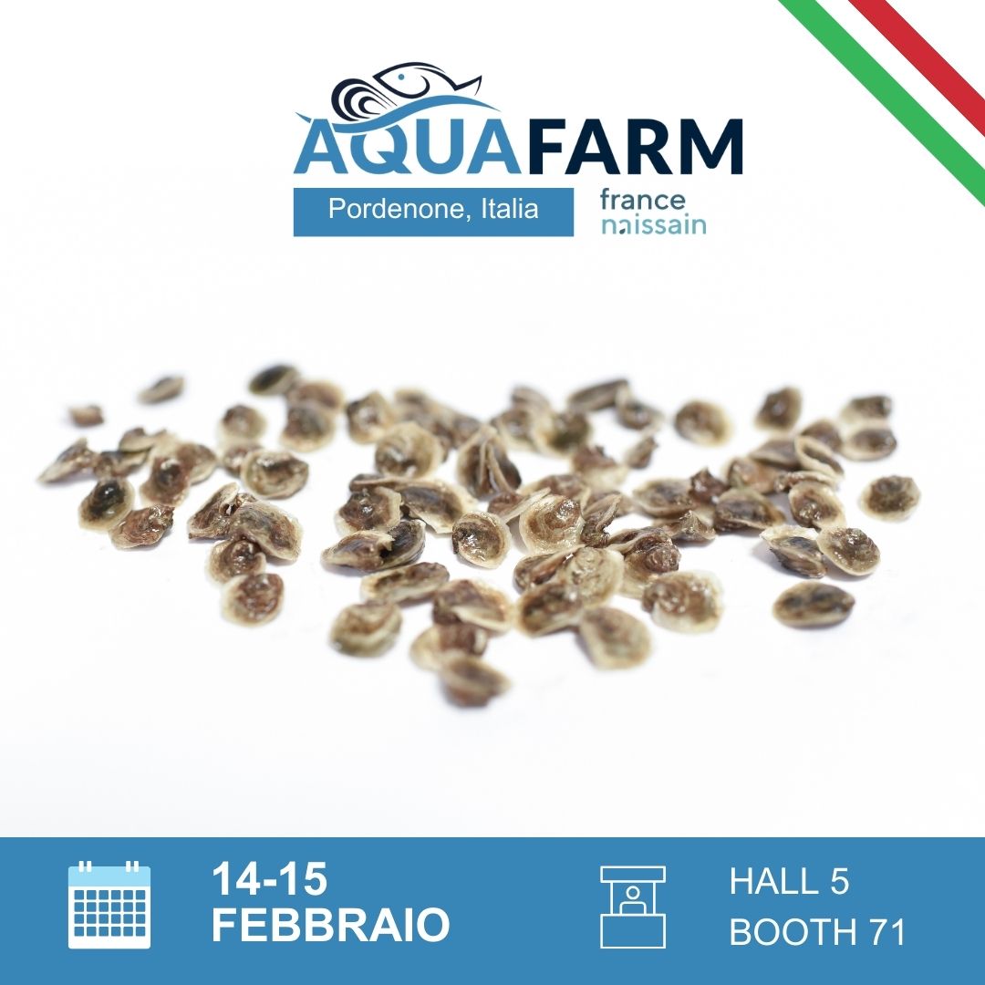 🇮🇹 France Naissain en Italie ! Chaque année, c'est notre rendez-vous de février : Arnaud et Stéphane se rendront au salon <a href="/AquaFarmExpo/">Aquafarm</a> les 14 et 15 février. Profitez-en pour venir les rencontrer ! 
#acquacoltura #aquaculture #fiera #ostriche #semi #roadtoaquafarm2024